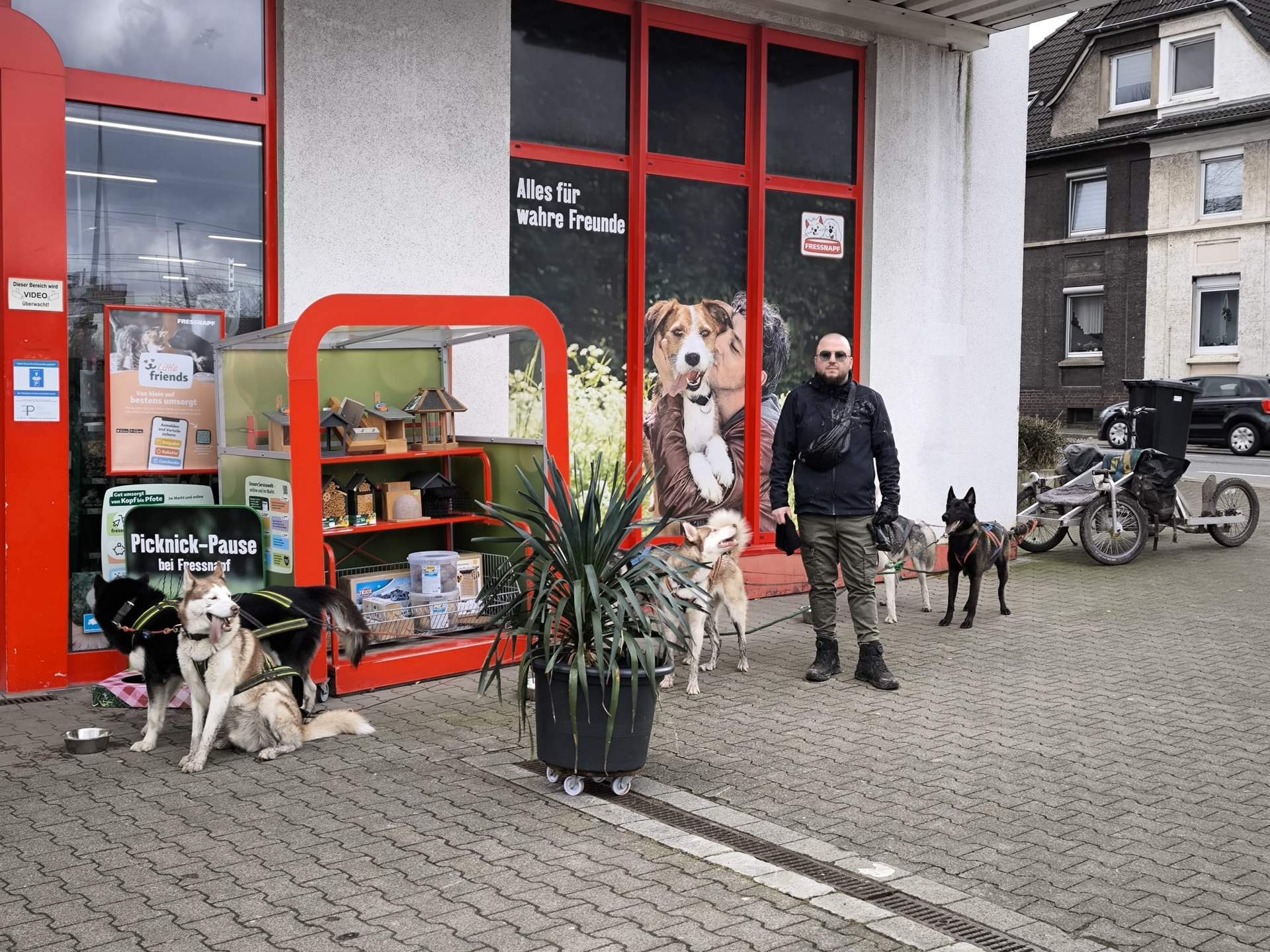 Gast beim Gespann fahren