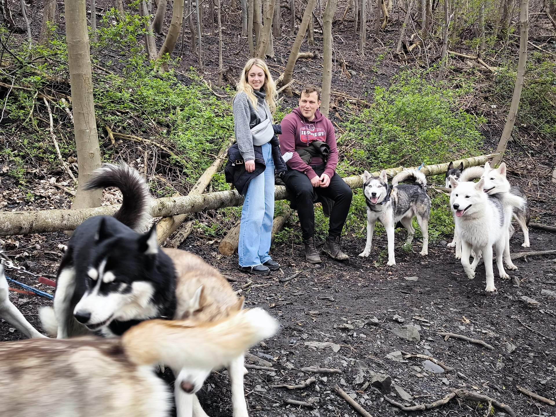Husky Trecking